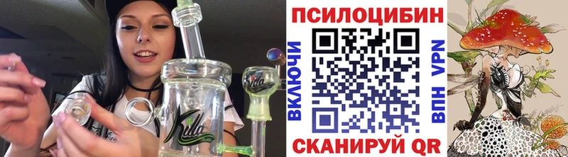 Псилоцибиновые грибы Psilocybe ОМГ ОМГ маркетплейс Ирбит